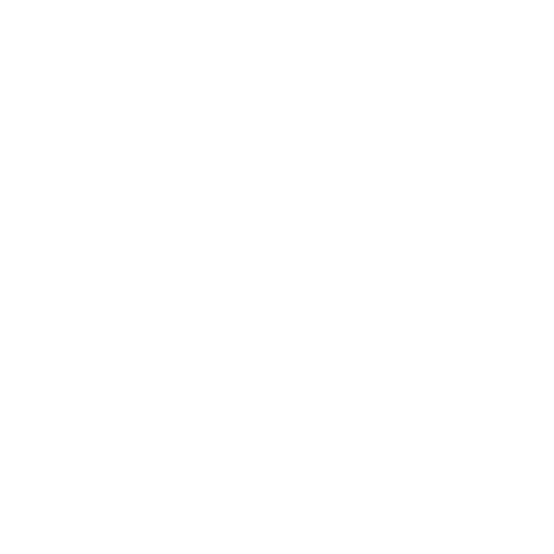 mini logo mameez